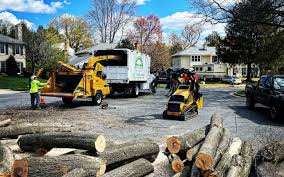 Best Weed Control  in Glendale, WI