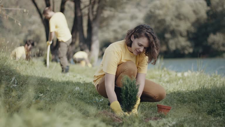 Best Organic Lawn Care Solutions  in Glendale, WI