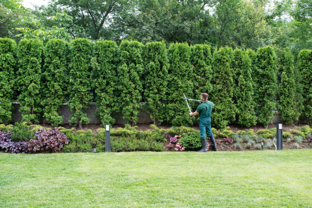 Best Aeration Services  in Glendale, WI