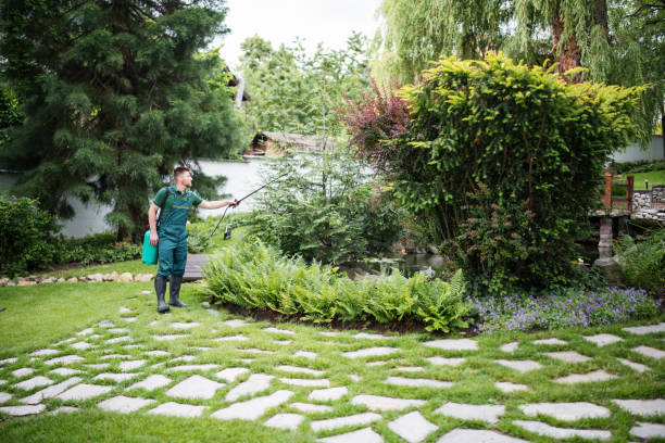 Best Stump Grinding and Removal  in Glendale, WI