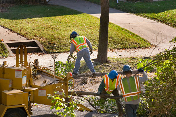 Best Leaf Removal  in Glendale, WI