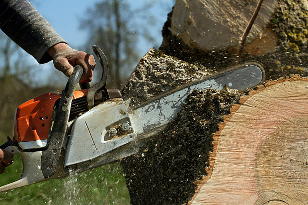 Best Soil Testing and Treatment  in Glendale, WI